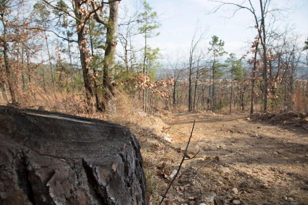 Decorative background for Stone Creek Phase III Tract 92 image 6