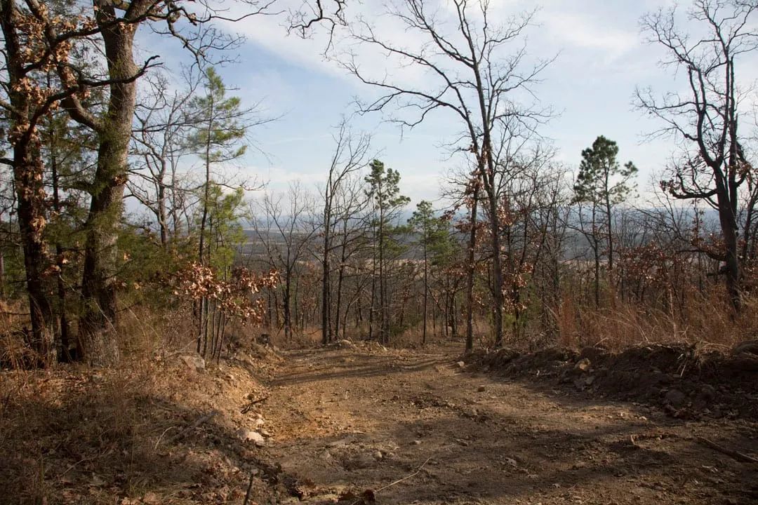 Decorative background for Stone Creek Phase III Tract 92 image 8