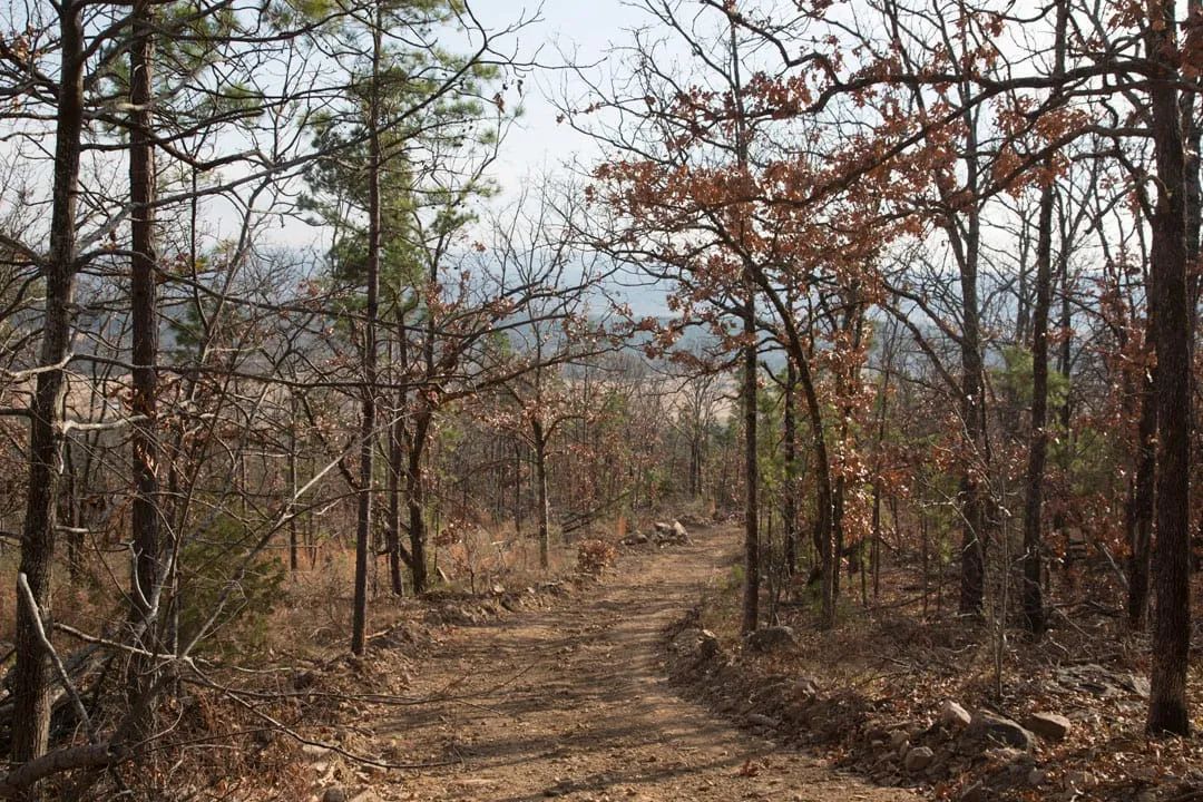 Decorative background for Stone Creek Phase III Tract 92 image 9