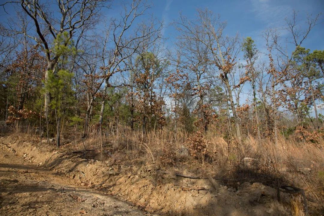Decorative background for Stone Creek Phase III Tract 92 image 11
