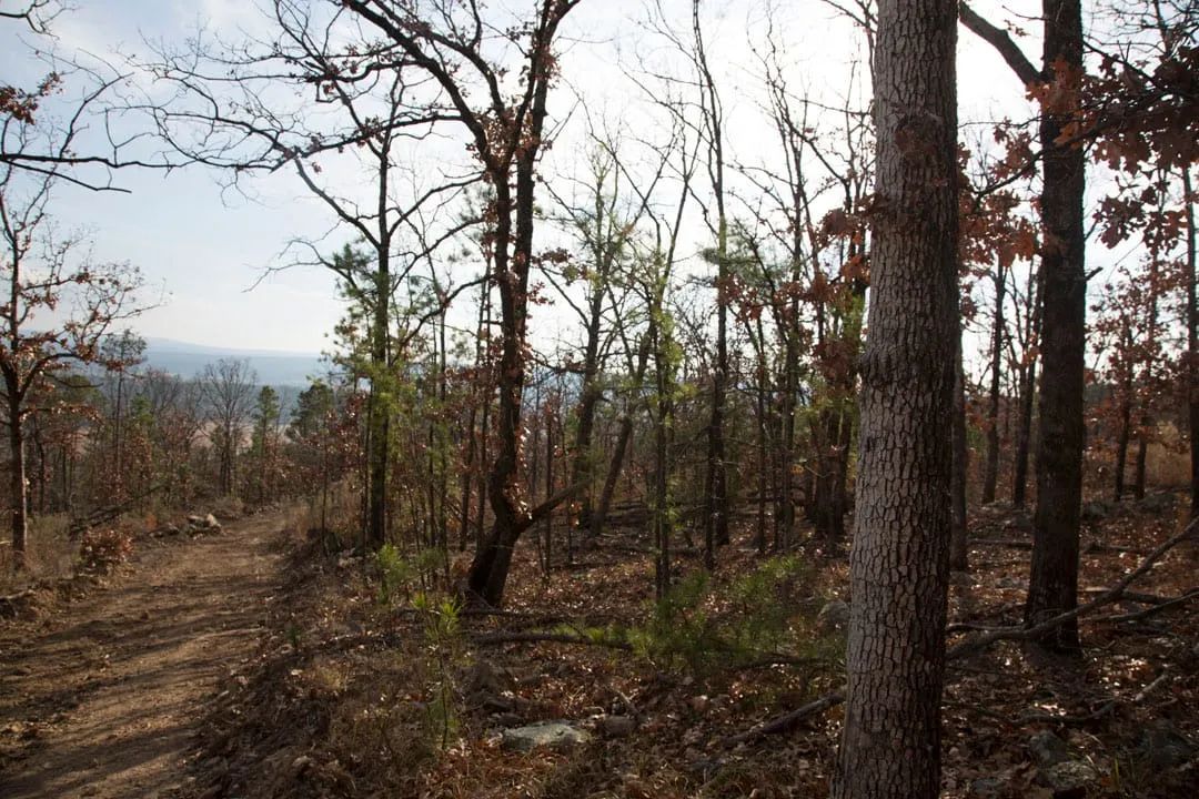 Decorative background for Stone Creek Phase III Tract 92 image 12