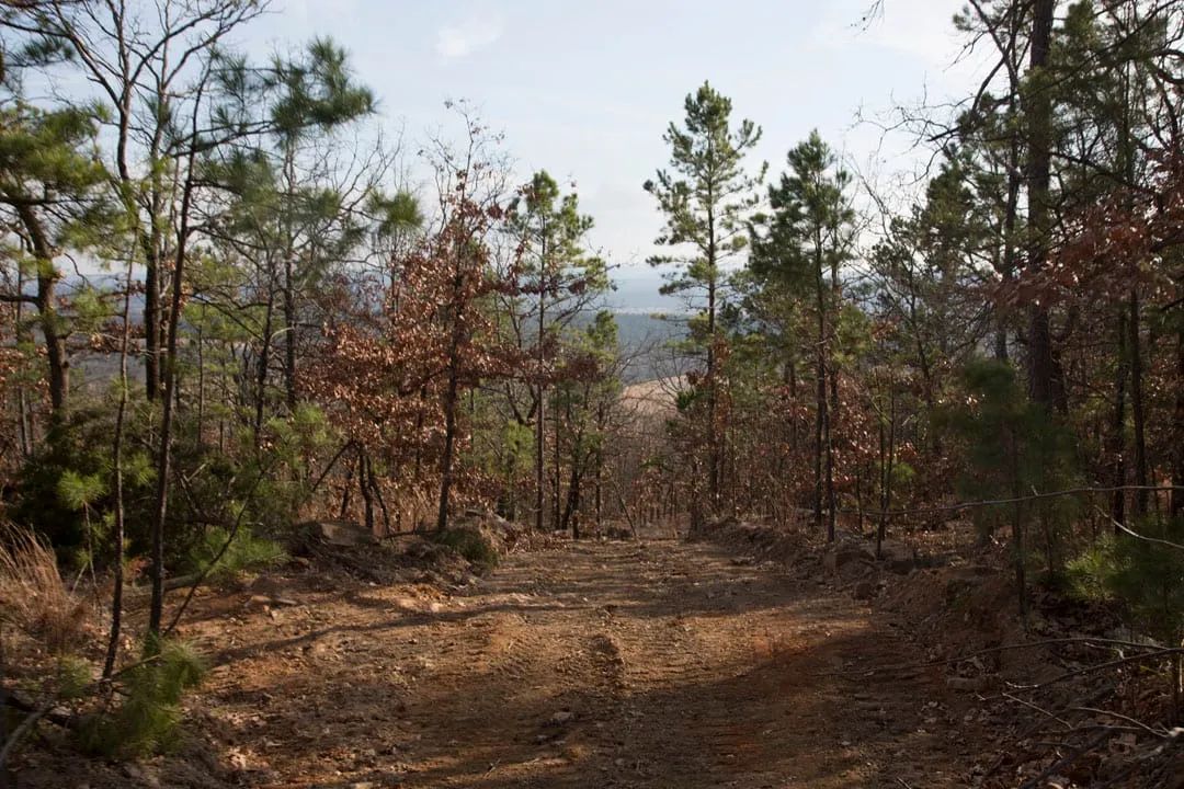 Decorative background for Stone Creek Phase III Tract 92 image 14