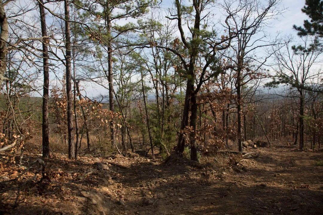 Decorative background for Stone Creek Phase III Tract 92 image 15