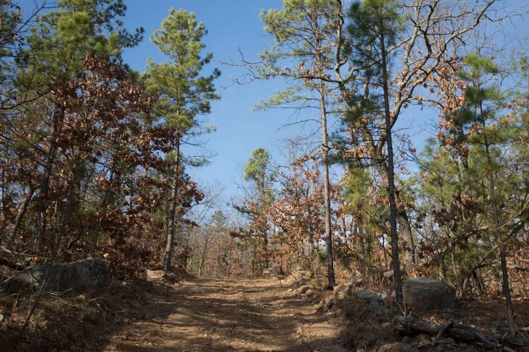 Decorative background for Stone Creek Phase III Tract 92 image 19