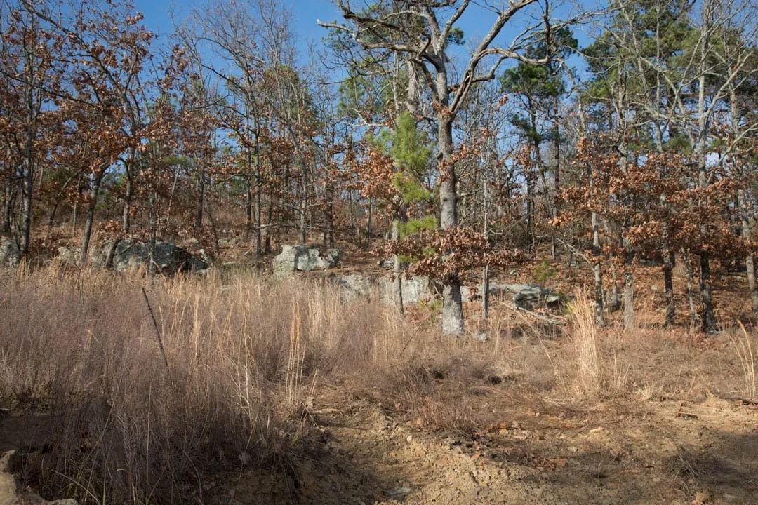 Decorative background for Stone Creek Phase III Tract 92 image 20