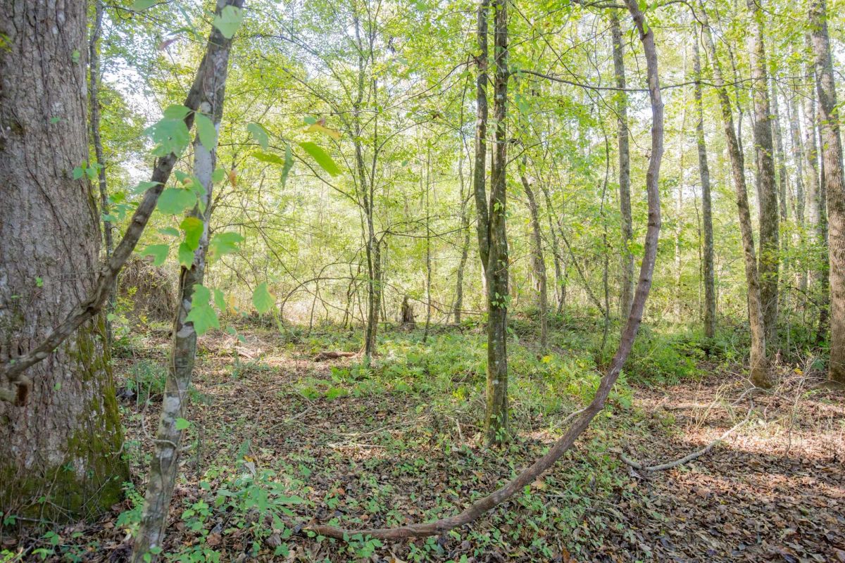 Sky Ranch Tract 10 - Main image
