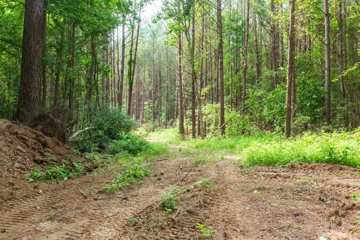 Whiskey Ridge Tract 95 - Main image