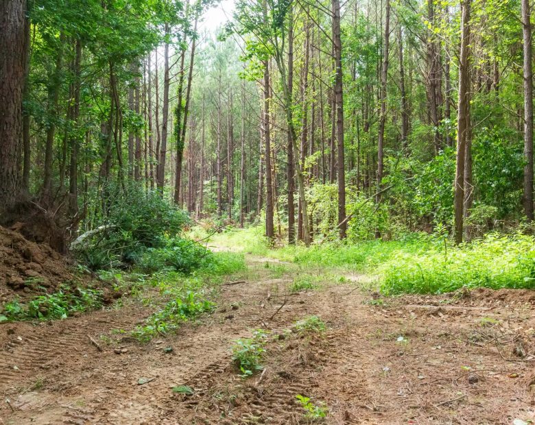 Whiskey Ridge Tract 95 in Henderson County, TN