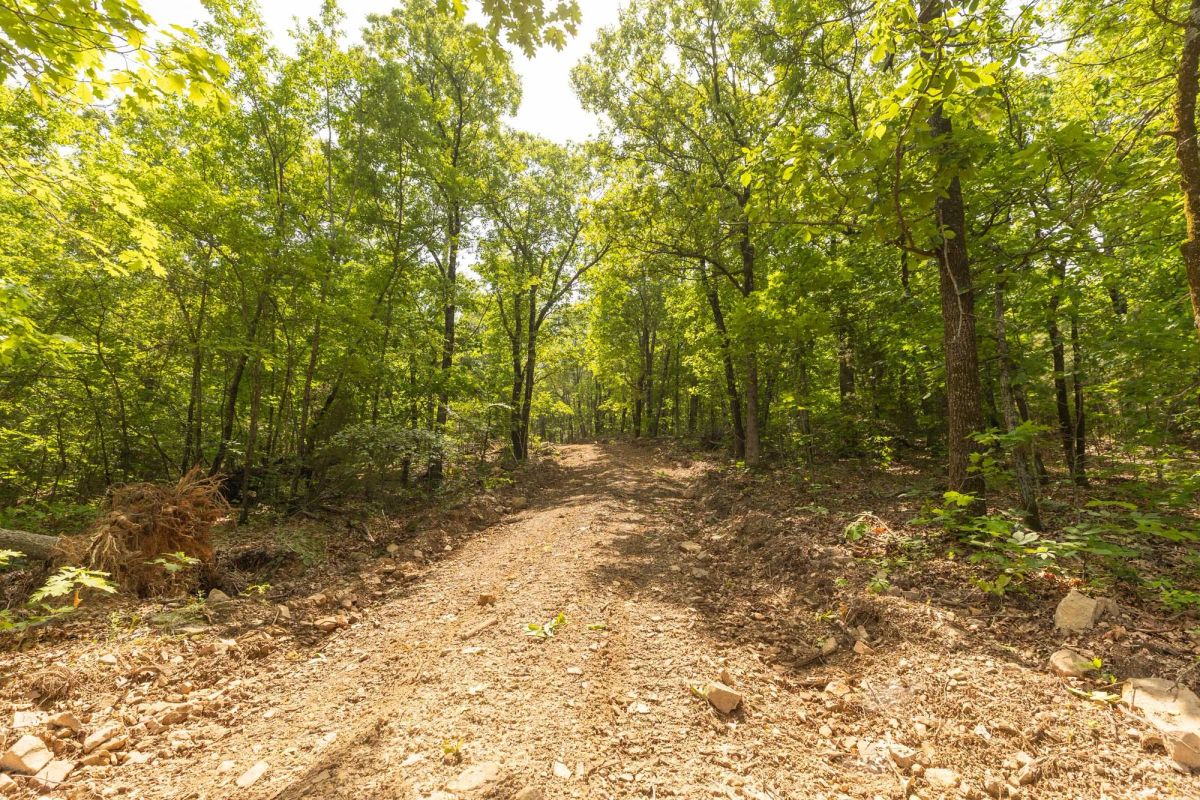 Stone Bridge Reserve Tract 32 - Image 2