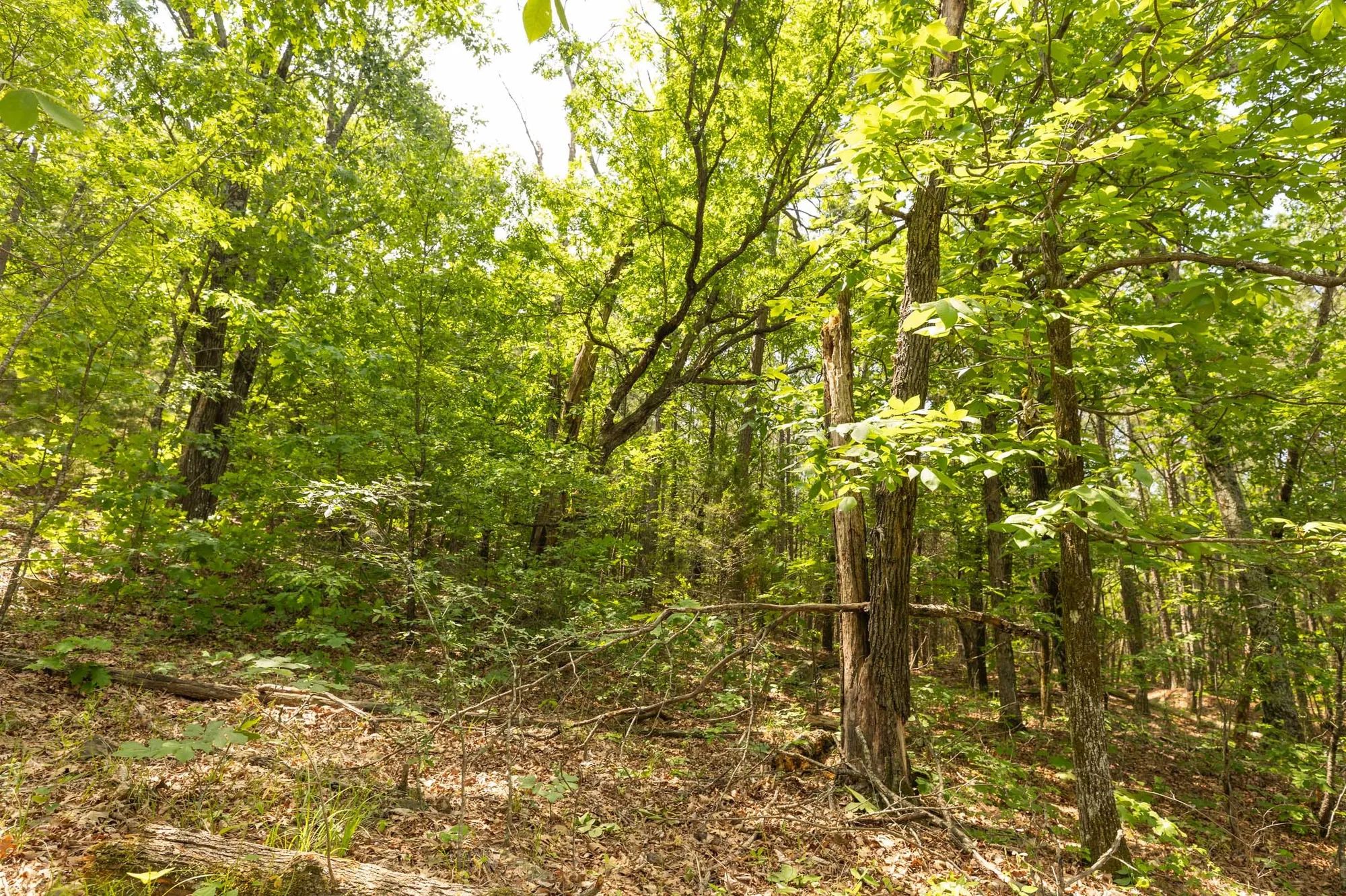 Stone Bridge Reserve Tract 32 in Haskell County, OK