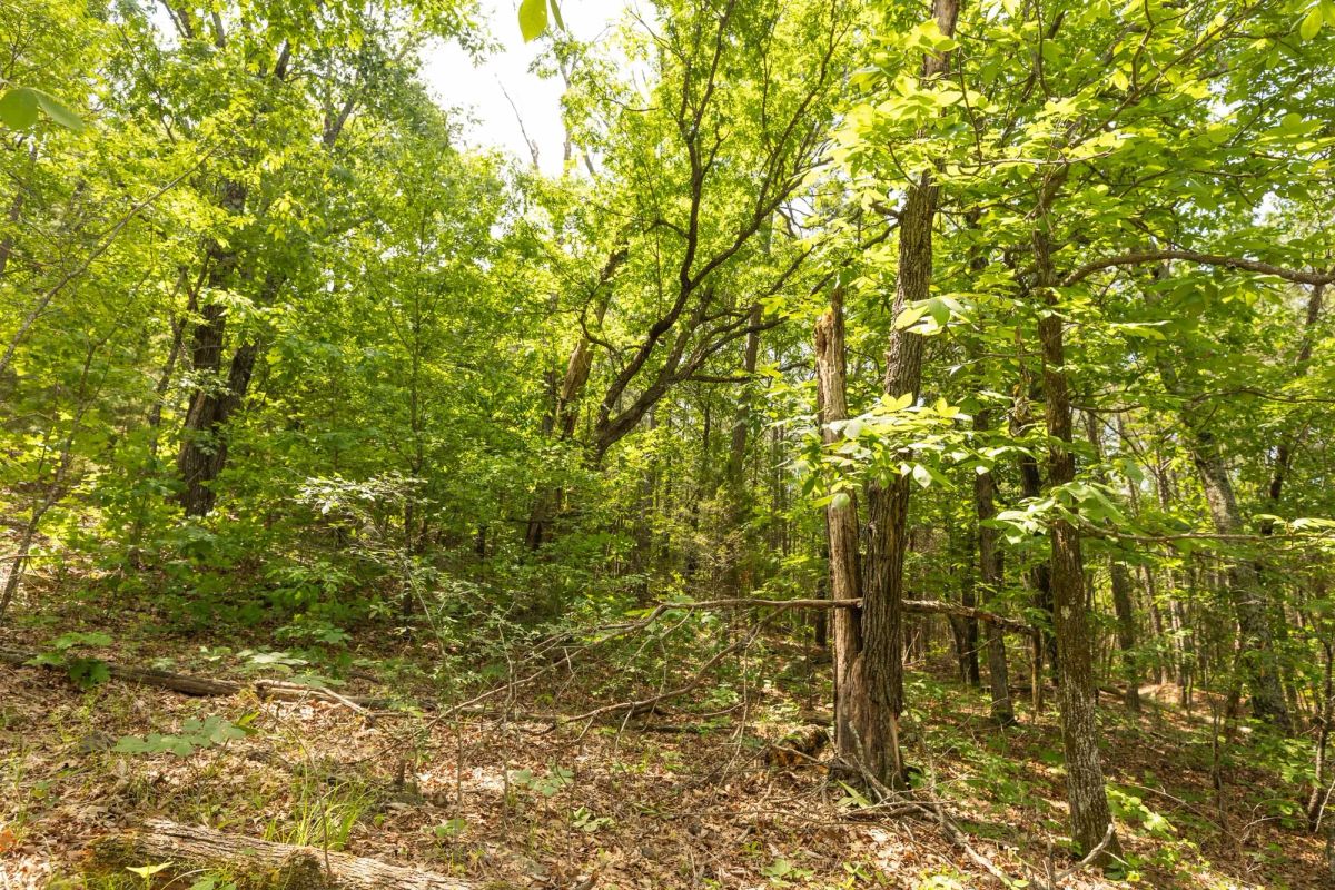 Stone Bridge Reserve Tract 32 - Image 3
