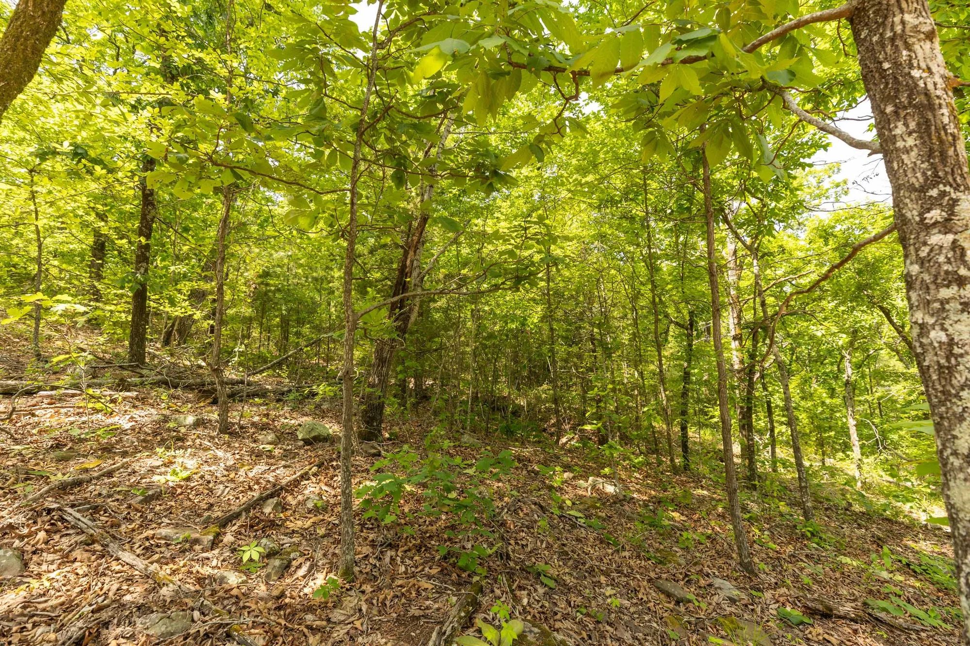 Stone Bridge Reserve Tract 32 in Haskell County, OK