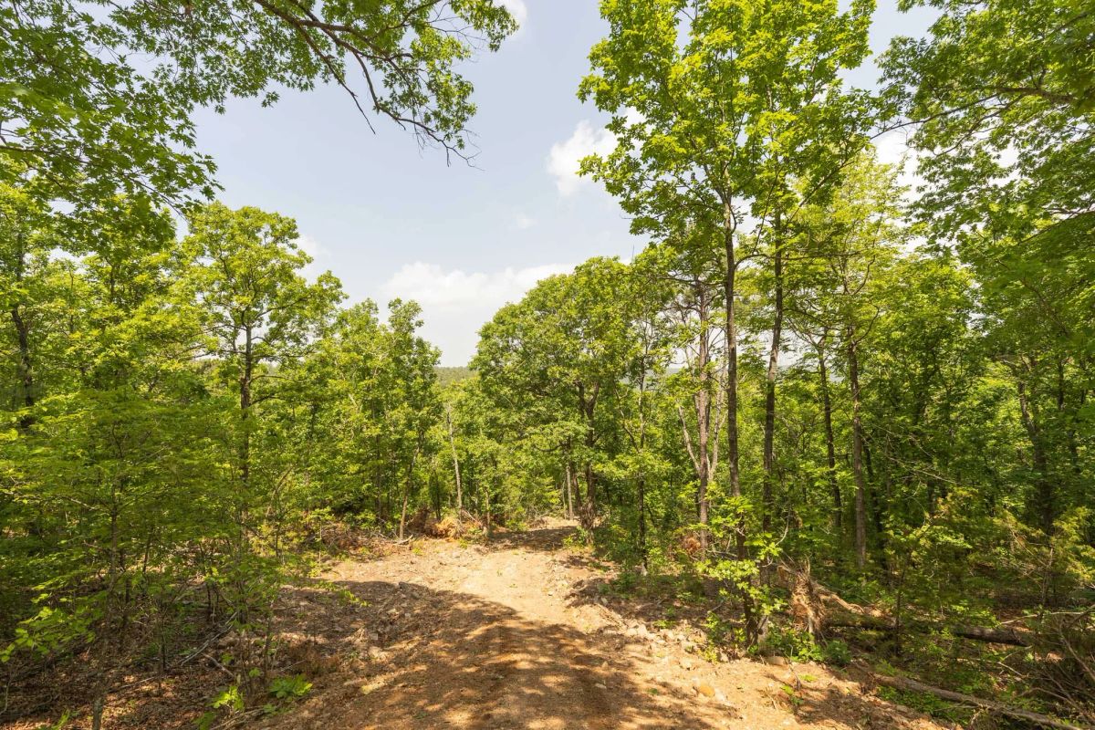 Decorative background for Stone Bridge Reserve Tract 32 image 9