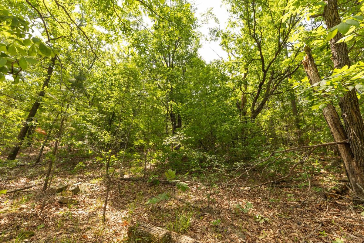 Decorative background for Stone Bridge Reserve Tract 32 image 10