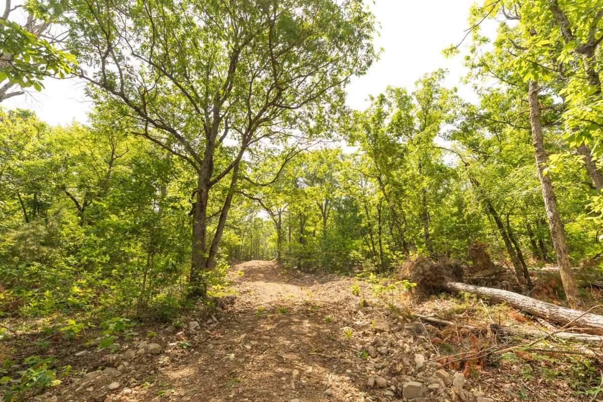 Decorative background for Stone Bridge Reserve Tract 32 image 16