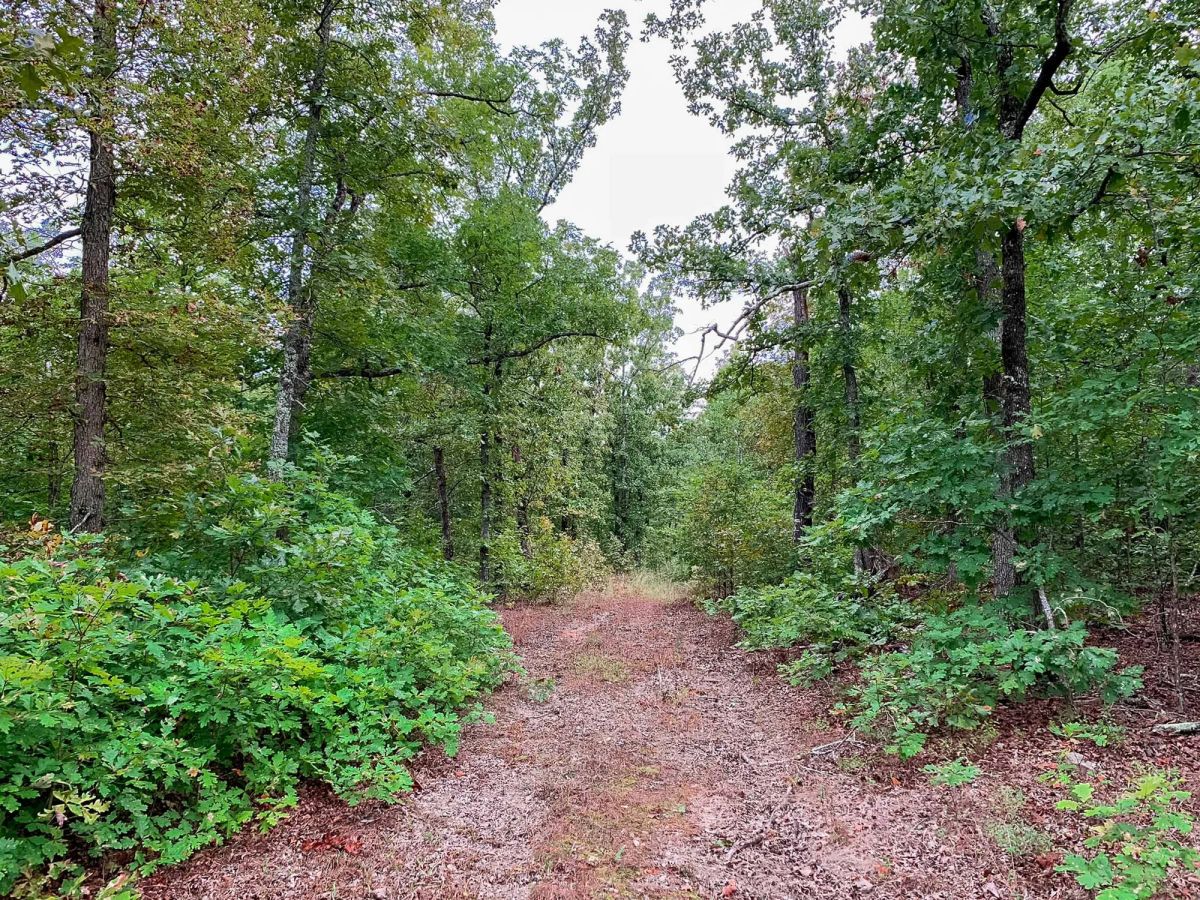 Wagon Wheel Ranch Tract 31 - Main image