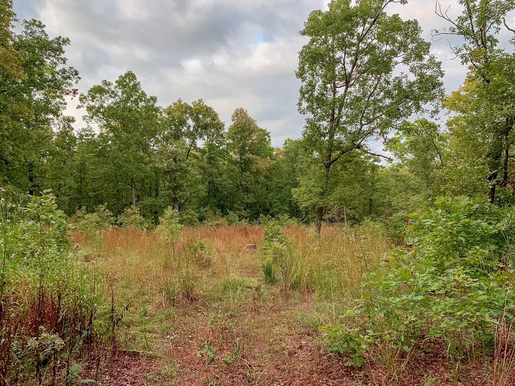 Wagon Wheel Ranch Tract 31 in Dent County, MO