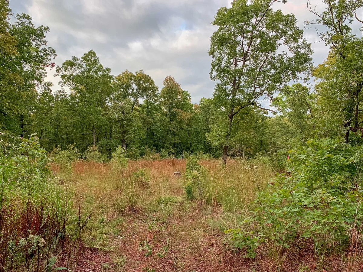 Wagon Wheel Ranch Tract 31 - Image 2
