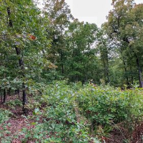 Wagon Wheel Ranch Tract 31 in Dent County, MO