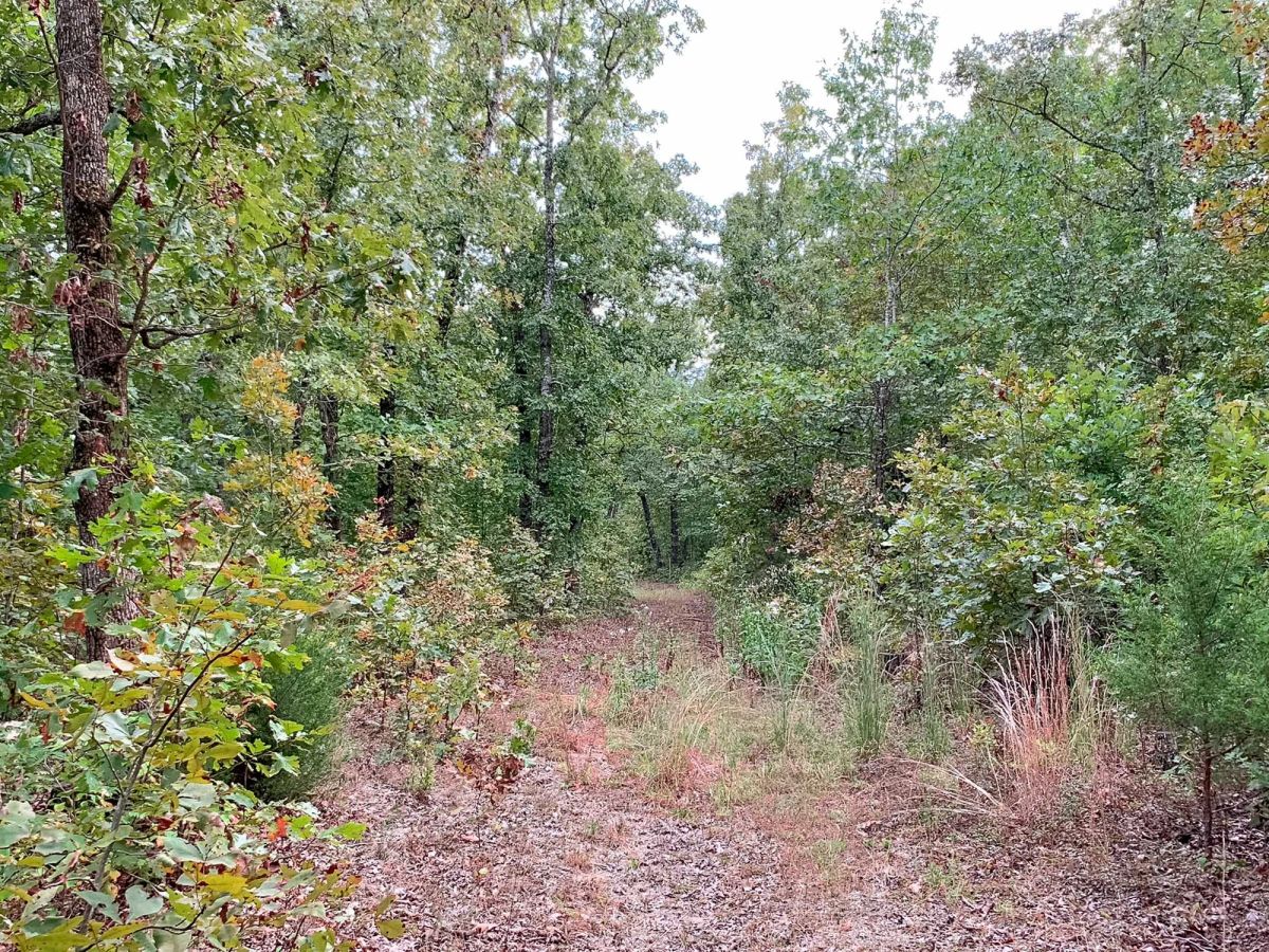 Decorative background for Wagon Wheel Ranch Tract 31 image 5