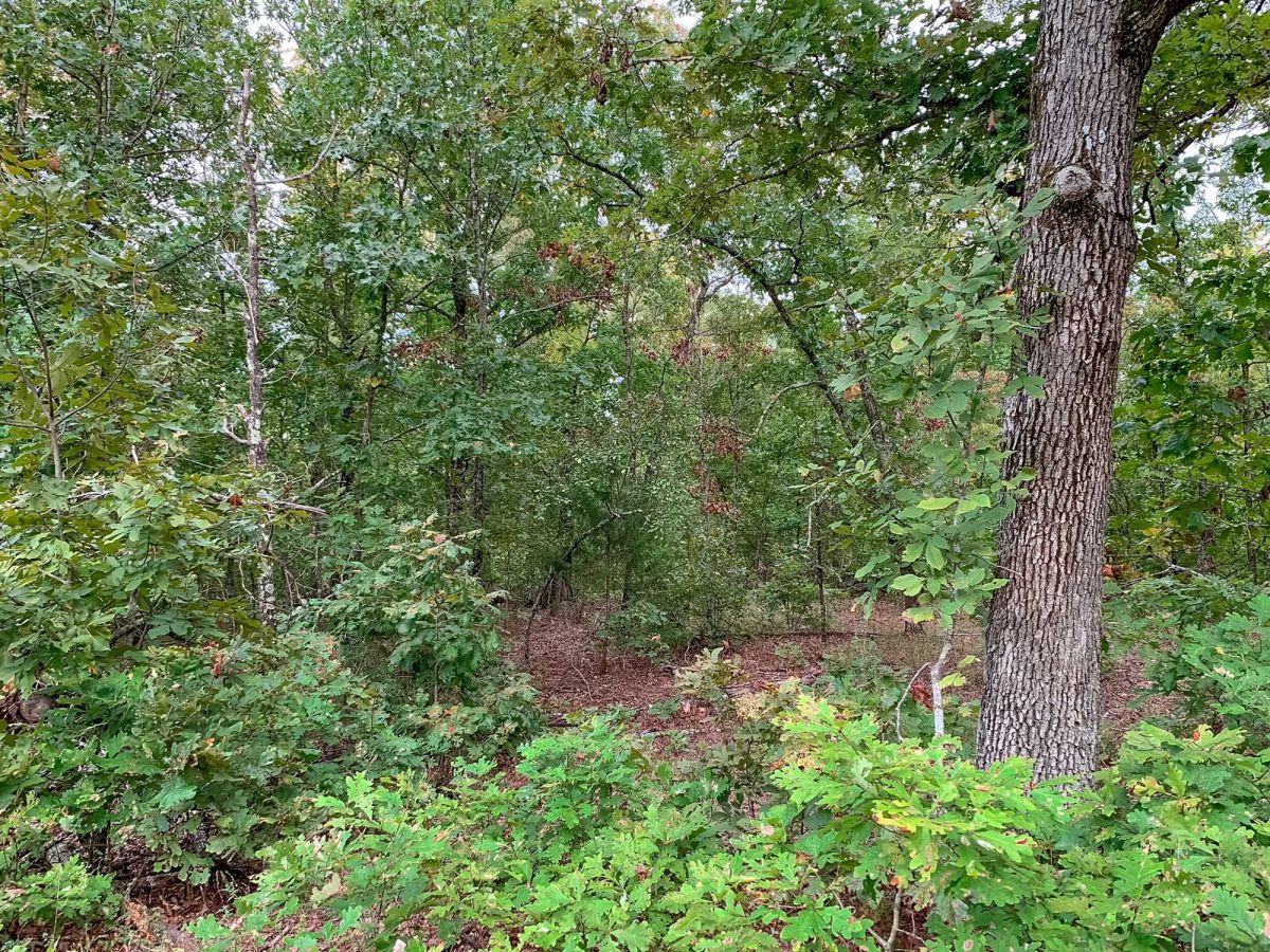 Decorative background for Wagon Wheel Ranch Tract 31 image 7