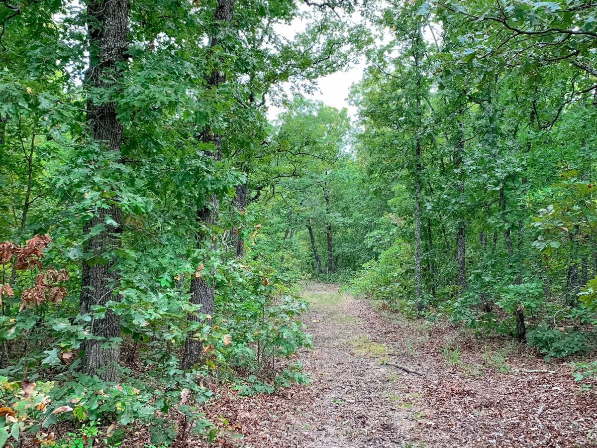 Decorative background for Wagon Wheel Ranch Tract 31 image 10