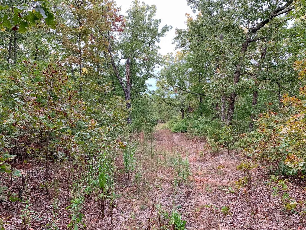 Decorative background for Wagon Wheel Ranch Tract 31 image 13