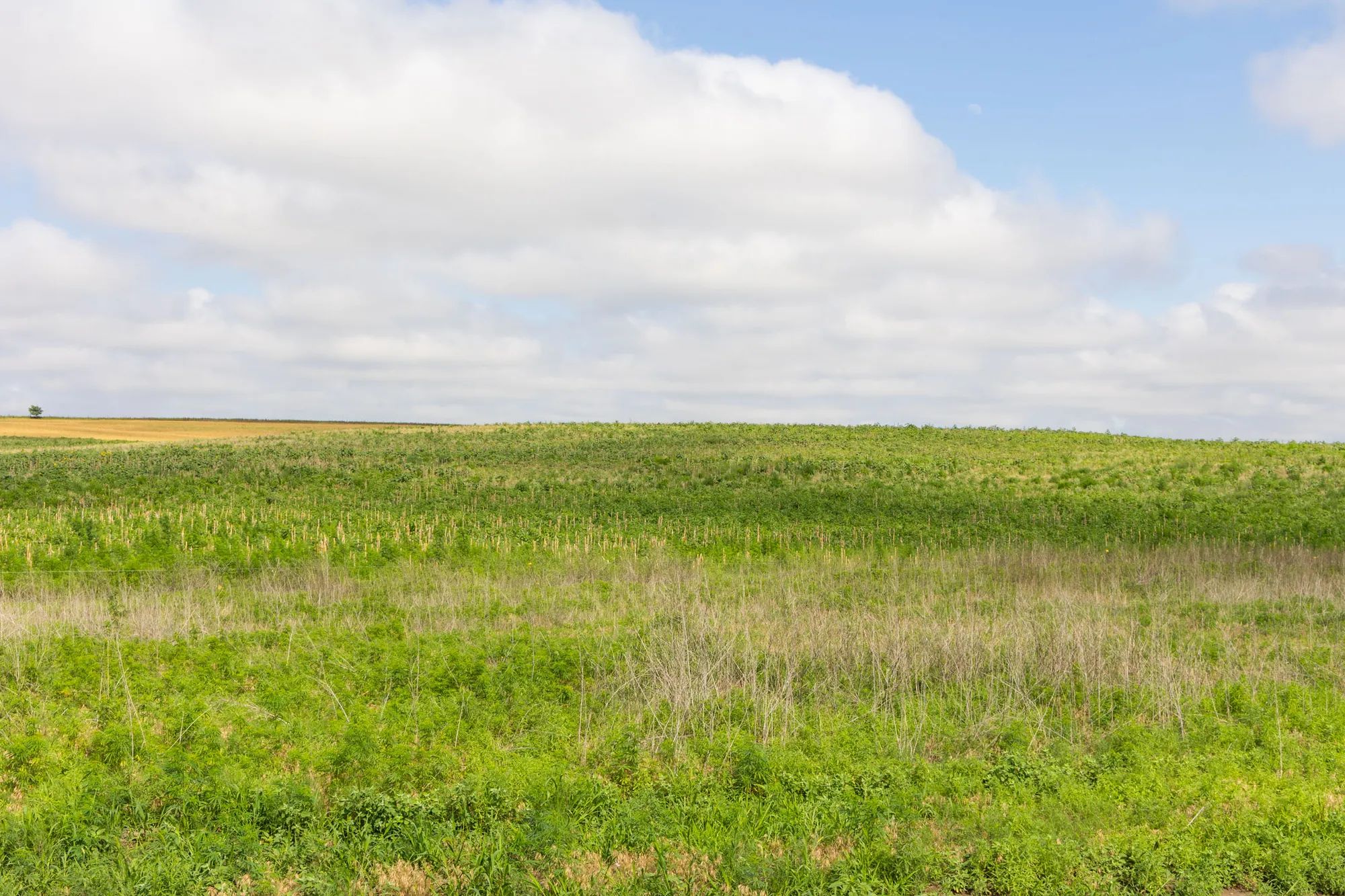 Crandall's Corner Tract 17 in Graham County, KS