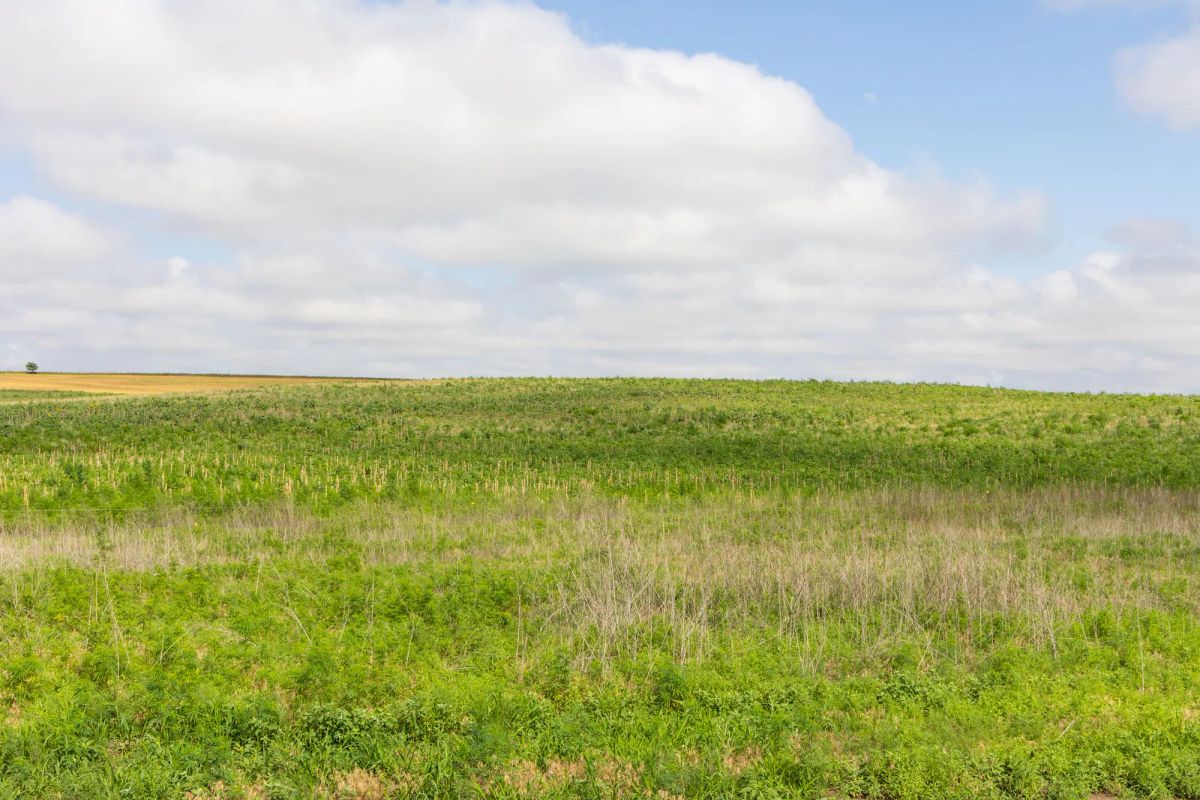 Crandall's Corner Tract 17 - Image 3