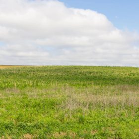 Crandall's Corner Tract 17 in Graham County, KS