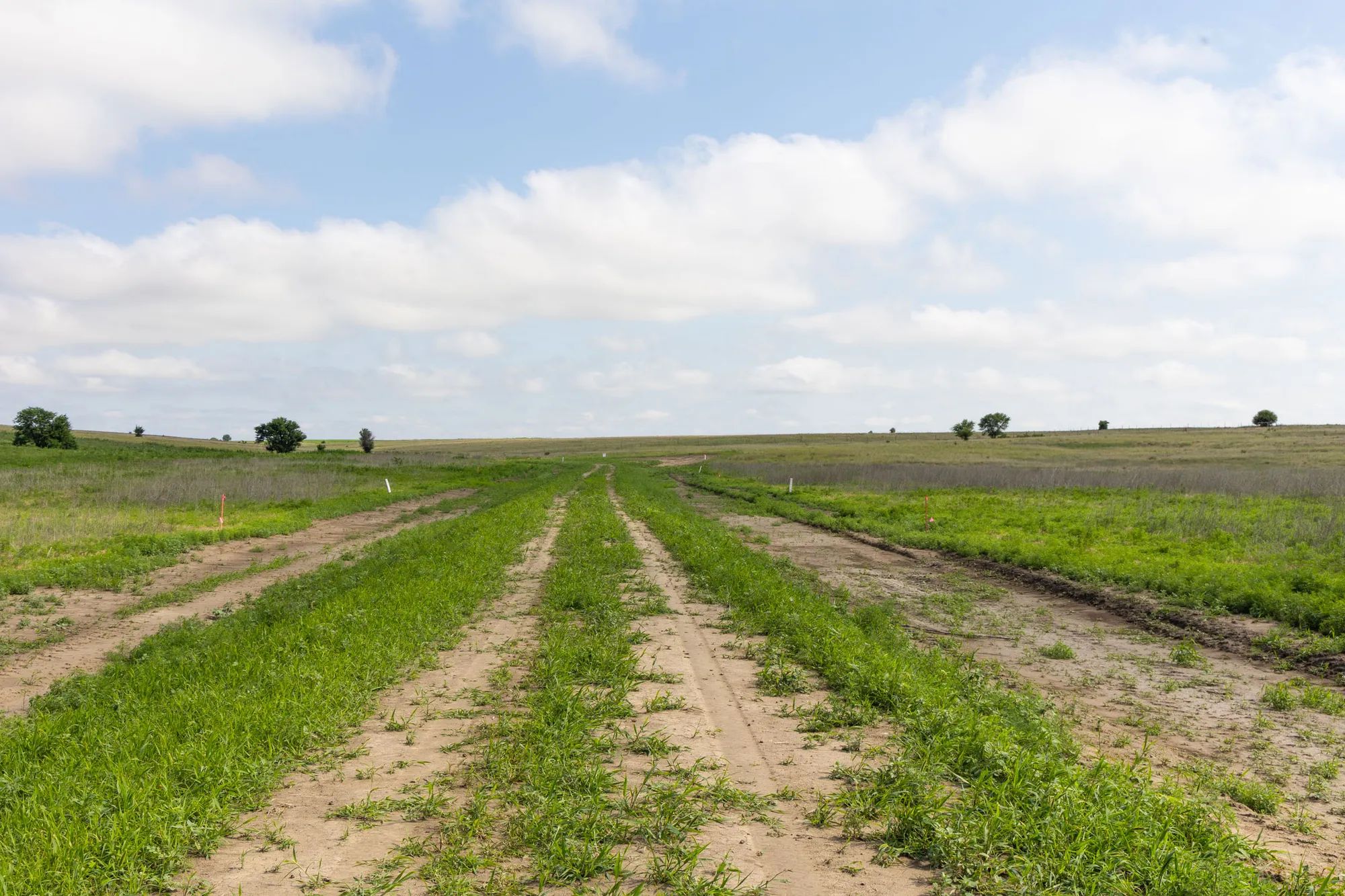 Crandall's Corner Tract 17 in Graham County, KS