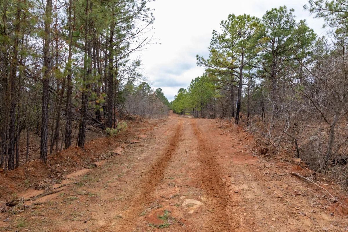 Stone Bridge Phase III Tract 196 - Image 2