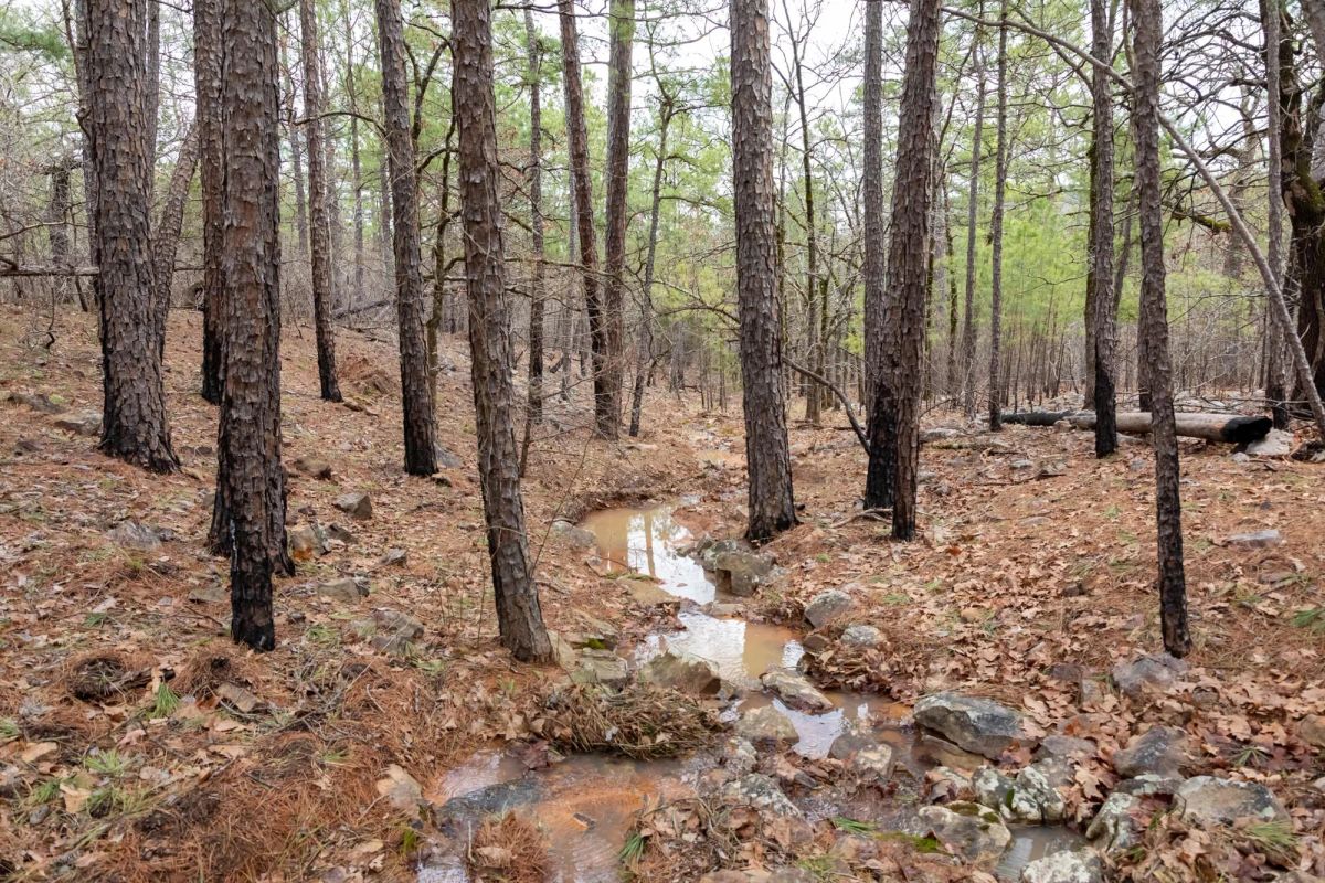 Stone Bridge Phase III Tract 196 - Image 3