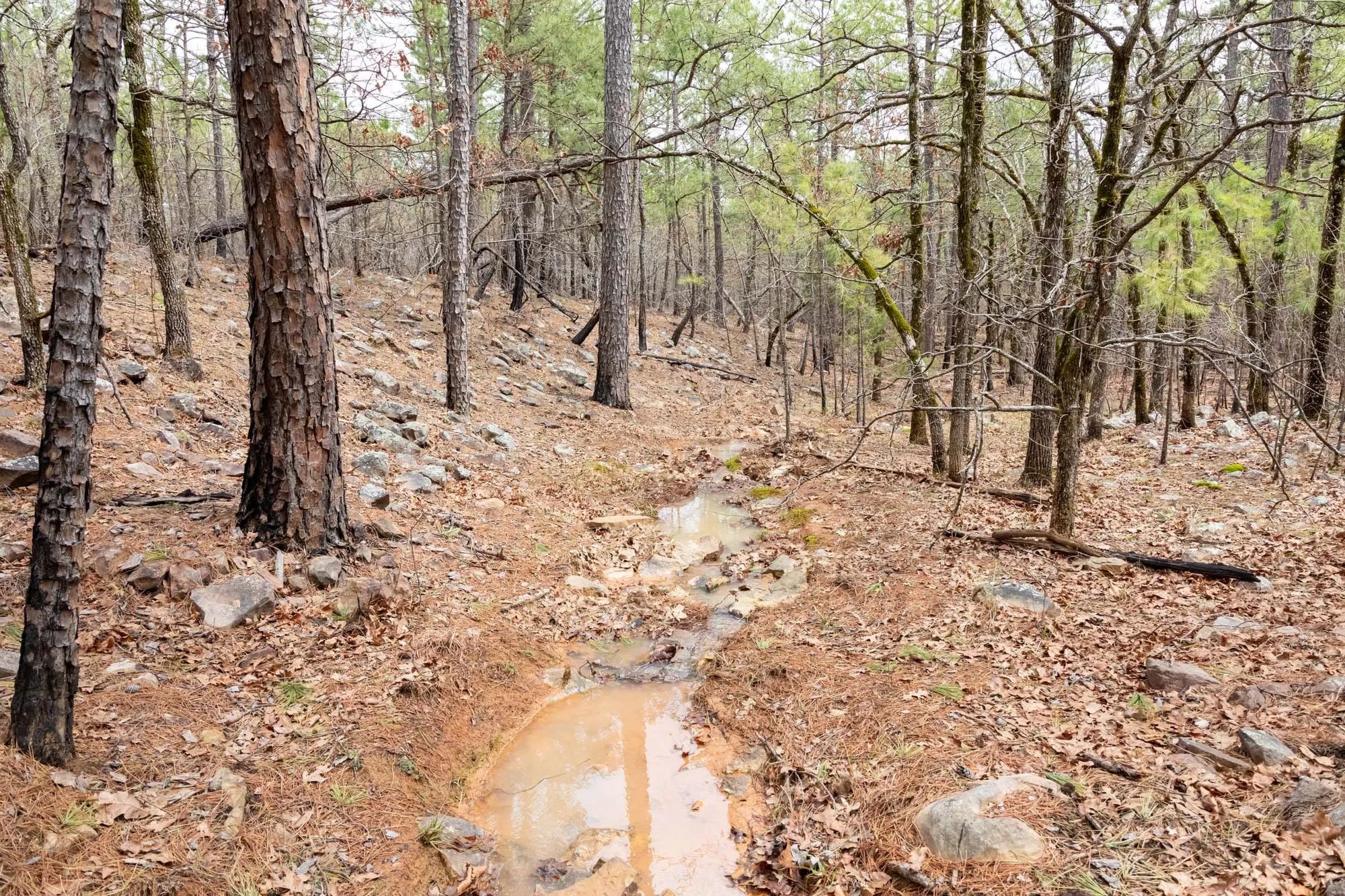 Stone Bridge Phase III Tract 196 in Latimer County, OK