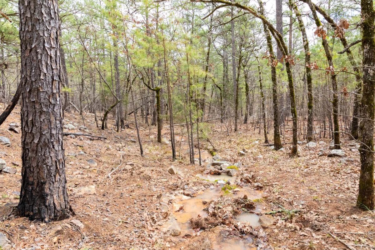Decorative background for Stone Bridge Phase III Tract 196 image 5