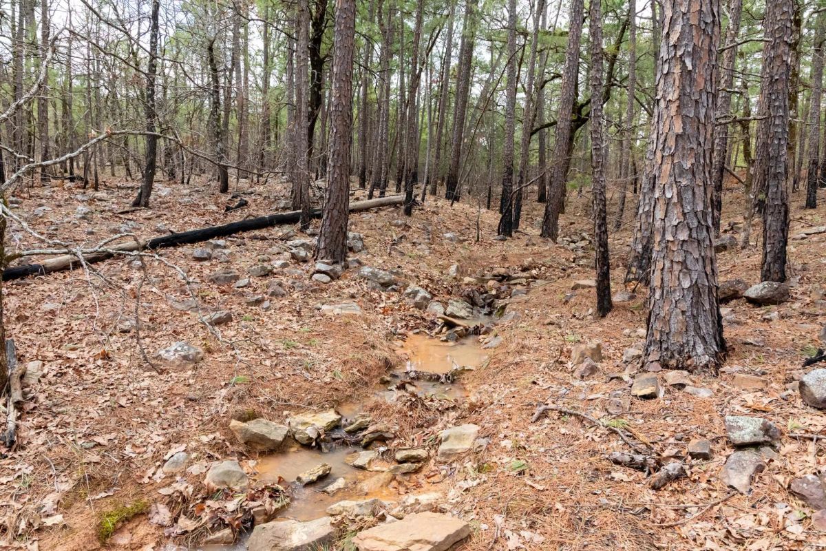 Decorative background for Stone Bridge Phase III Tract 196 image 6