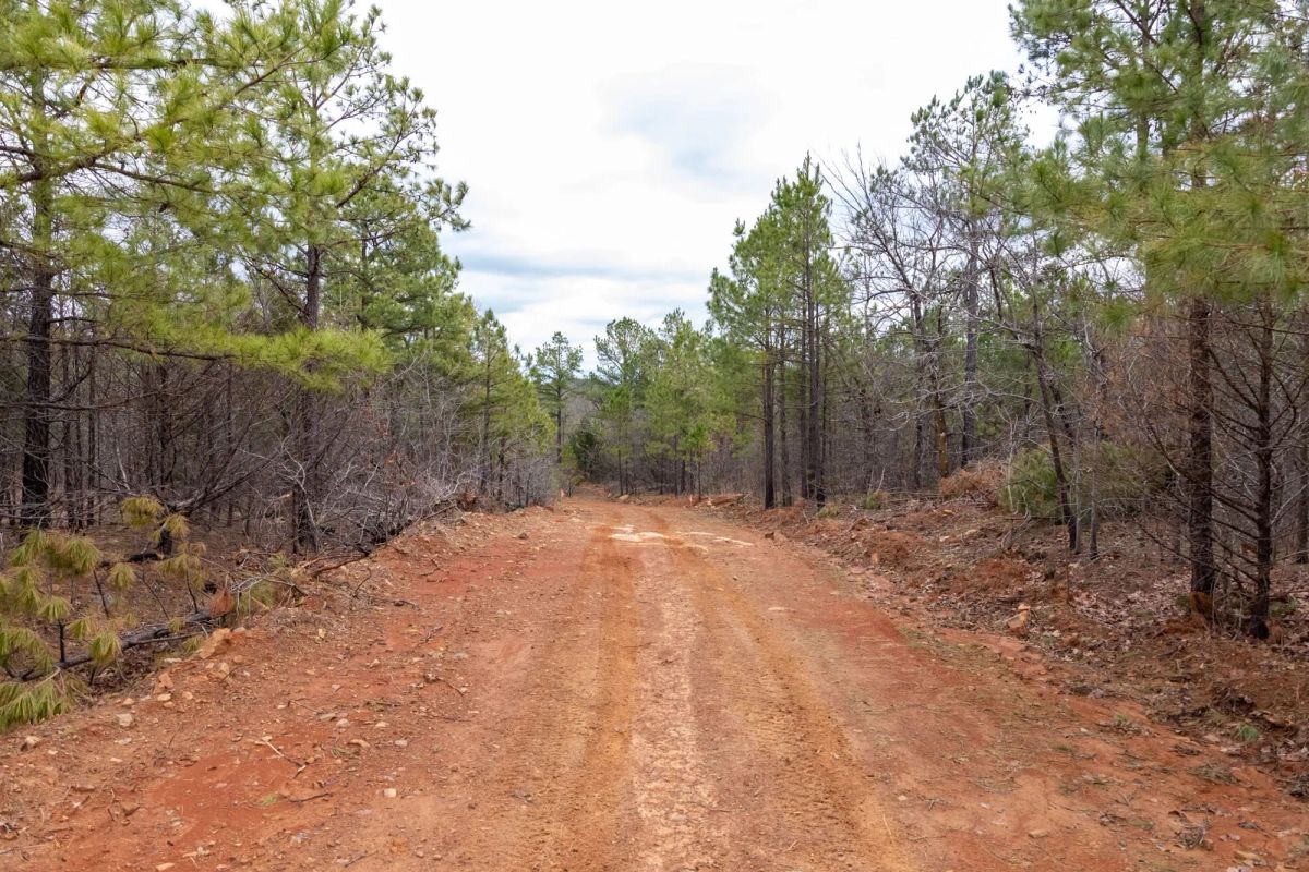 Decorative background for Stone Bridge Phase III Tract 196 image 9