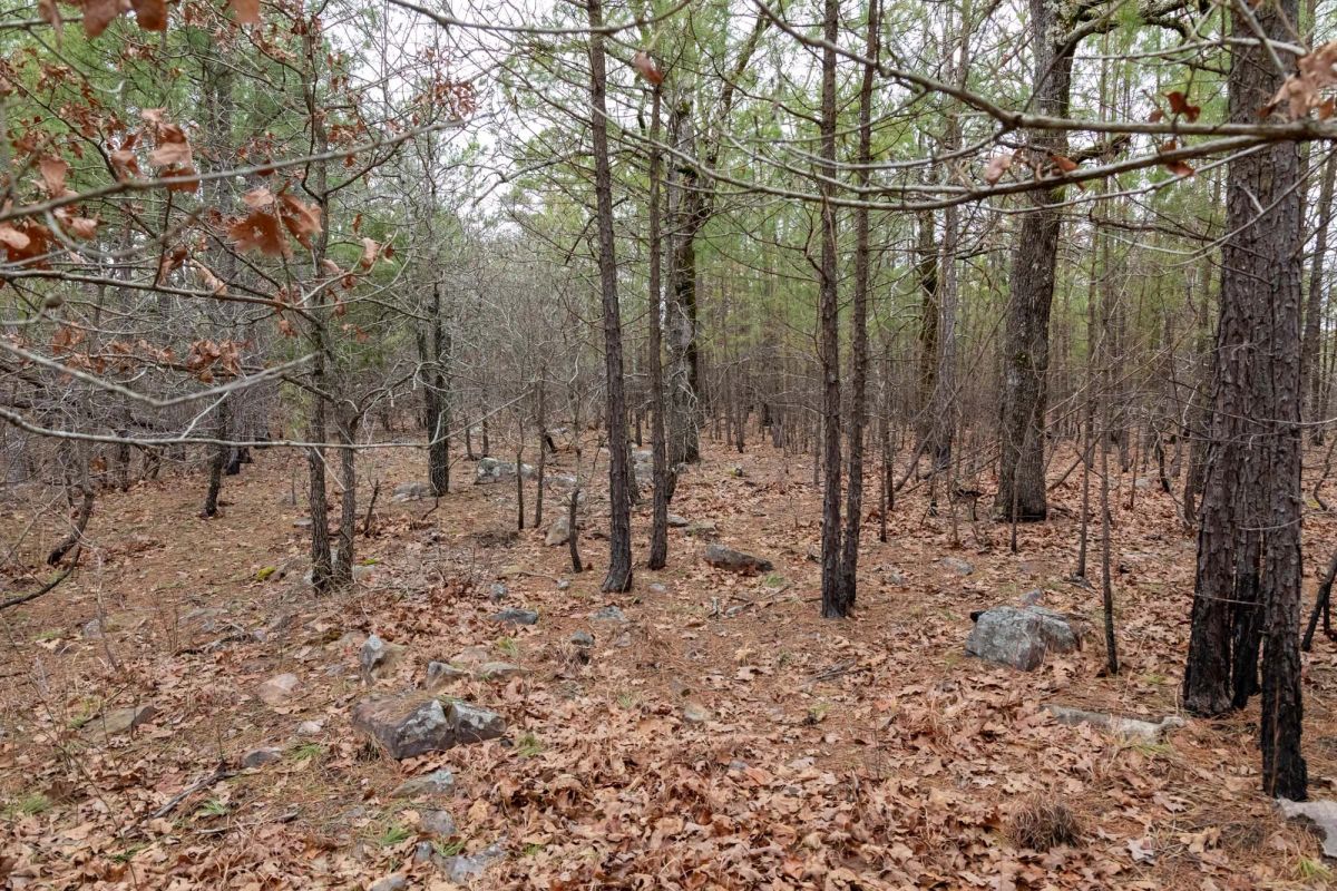 Decorative background for Stone Bridge Phase III Tract 196 image 11