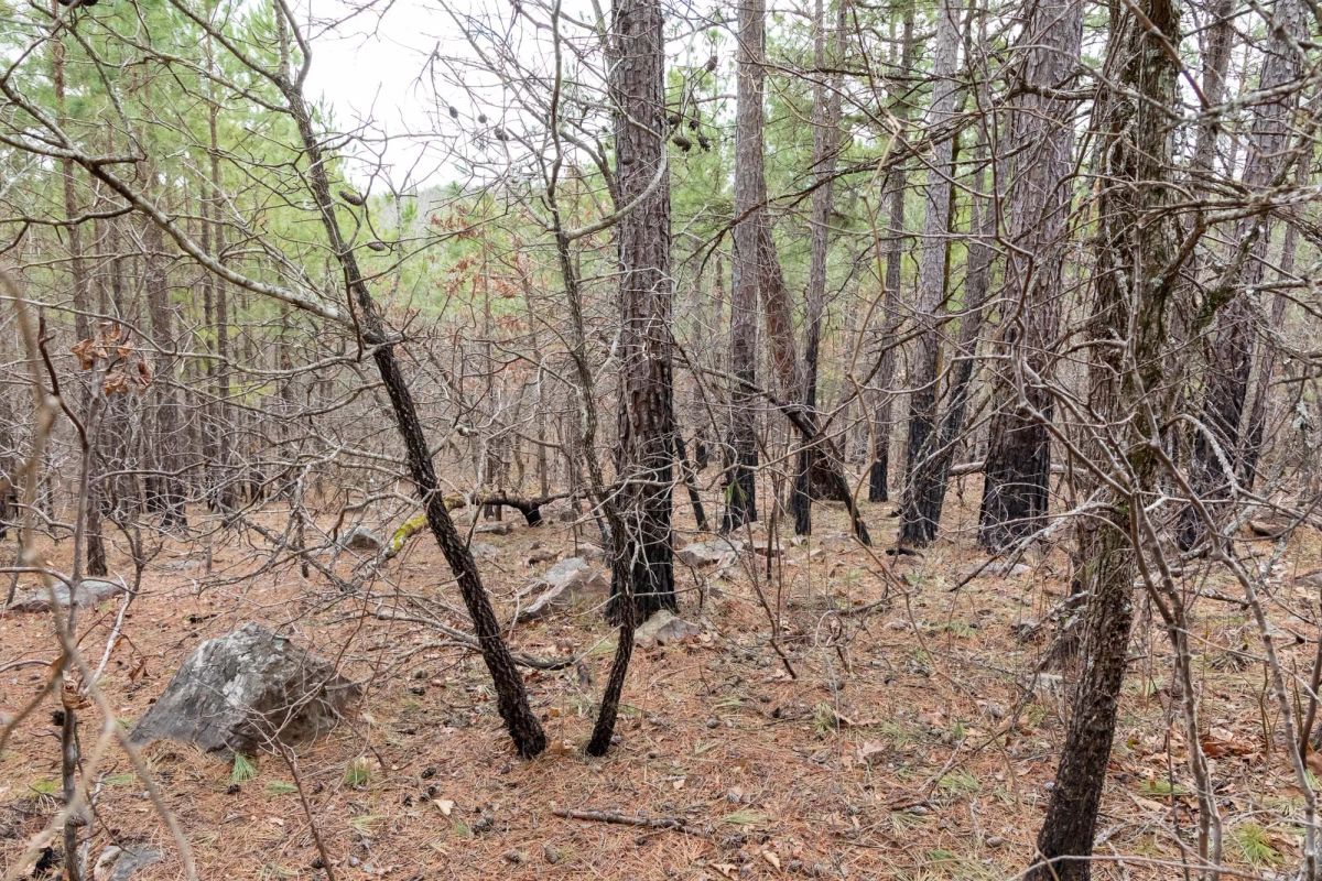 Decorative background for Stone Bridge Phase III Tract 196 image 12