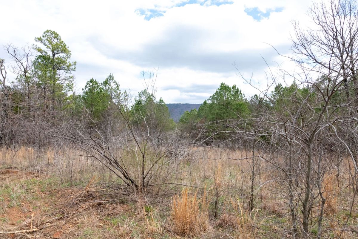 Decorative background for Stone Bridge Phase III Tract 196 image 14