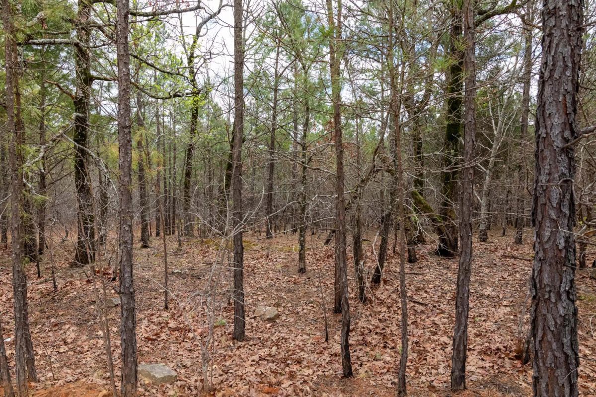 Decorative background for Stone Bridge Phase III Tract 196 image 15