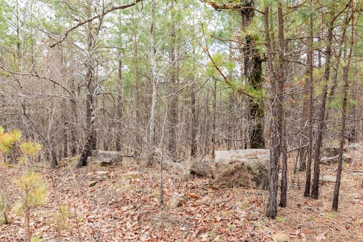 Decorative background for Stone Bridge Phase III Tract 196 image 16