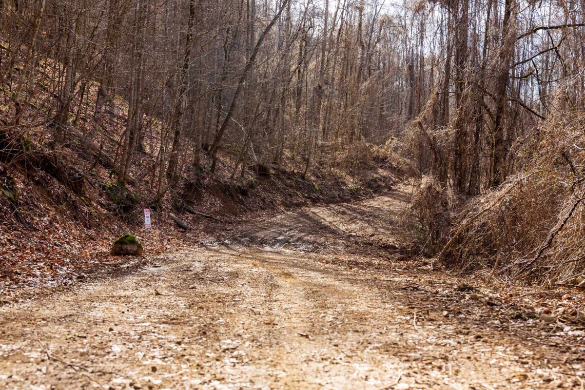 Blackstone Mountain Phase II Tract 63 - Main image