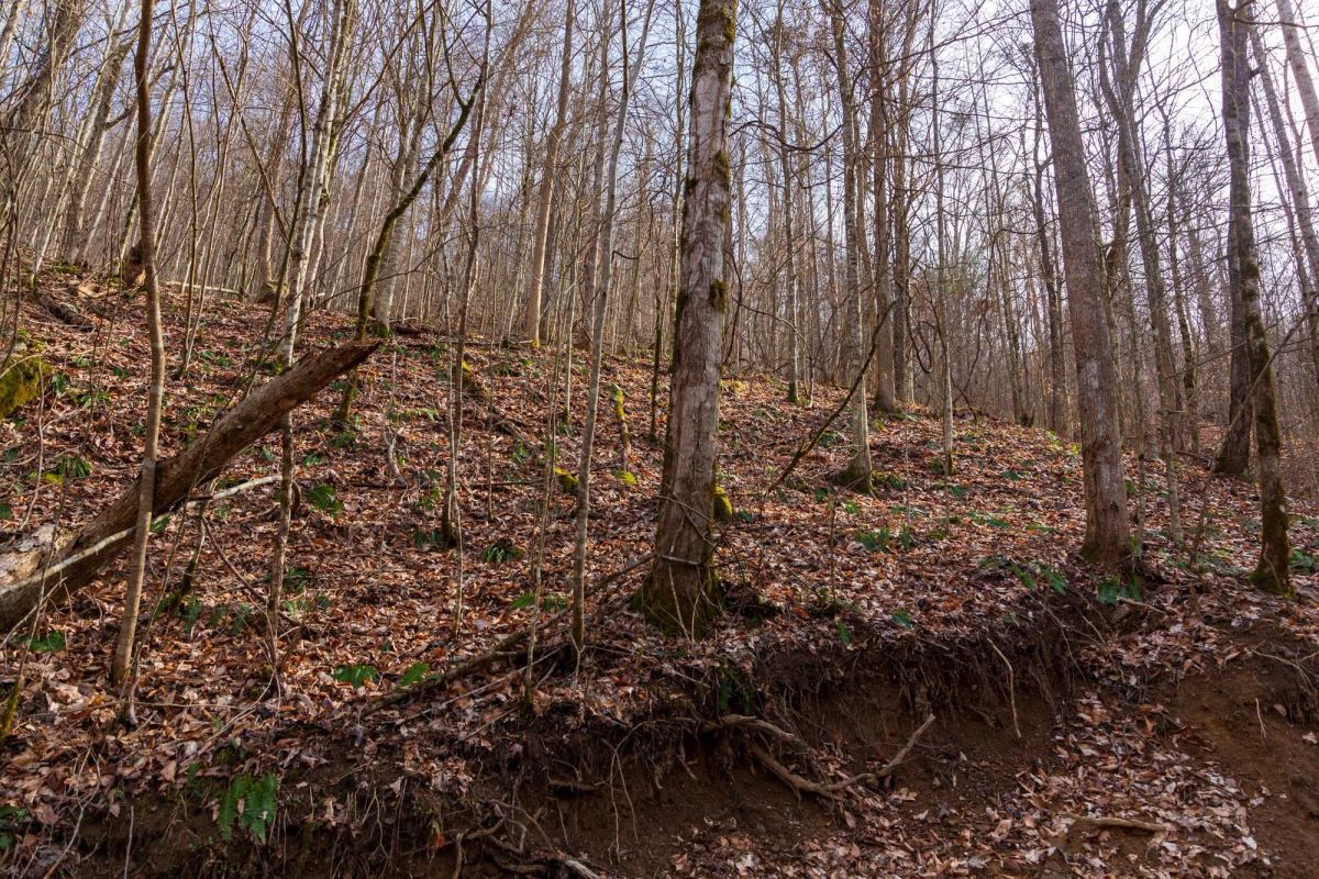 Blackstone Mountain Phase II Tract 63 - Image 4