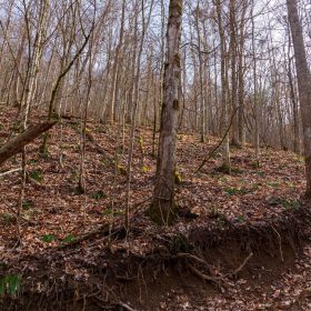 Blackstone Mountain Phase II Tract 63 in Clay County, KY