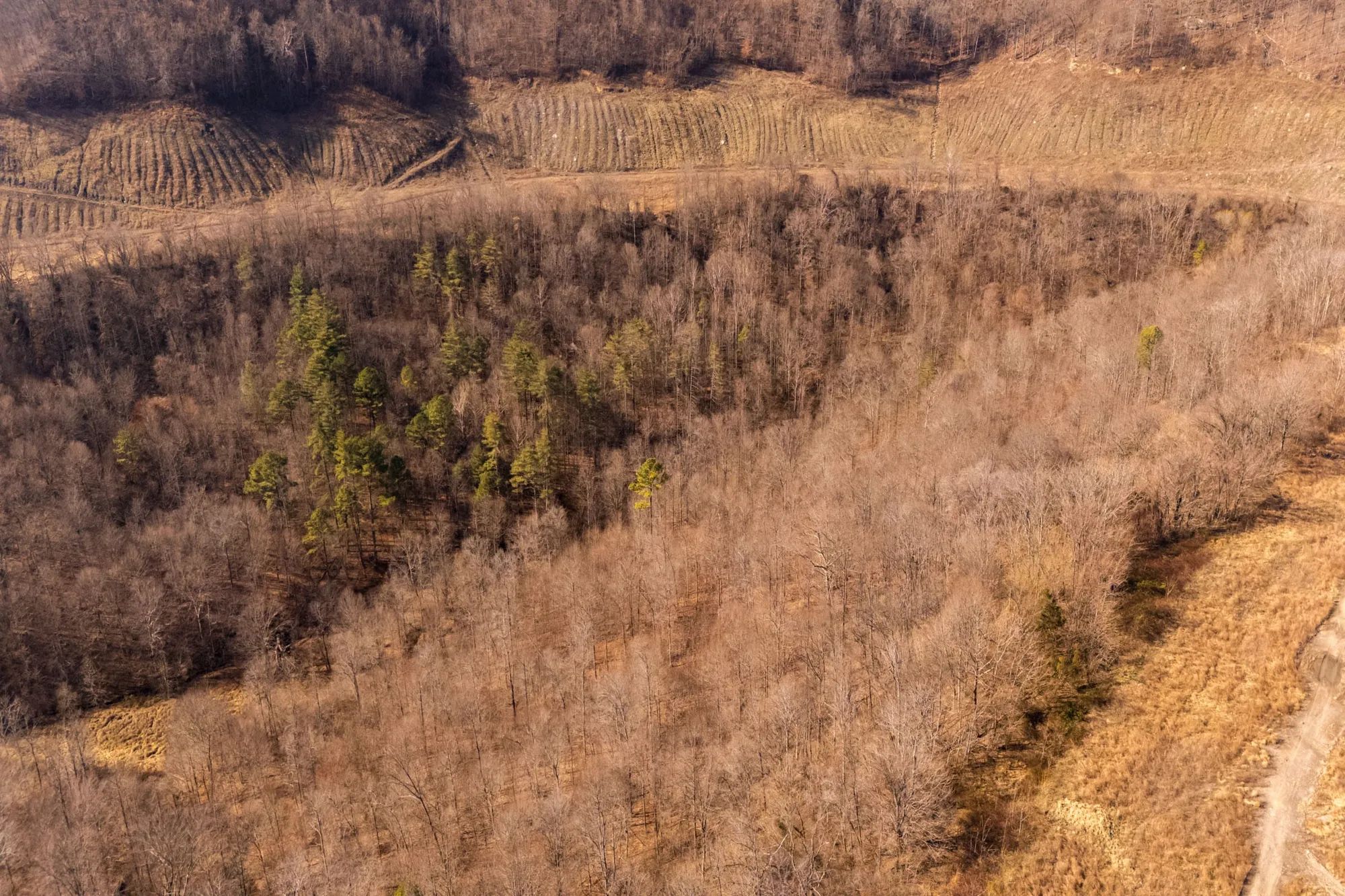 Jade Pass Tract 36 in Whitley County, KY