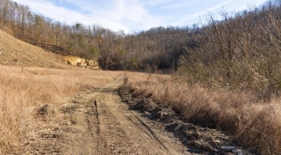 Jade Pass Tract 36 in Whitley County, KY
