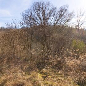 Jade Pass Tract 36 in Whitley County, KY