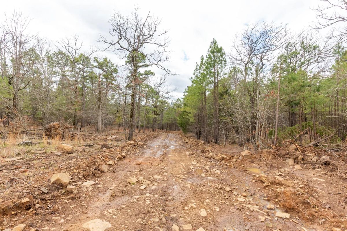 Stone Bridge Phase III Tract 176 - Main image