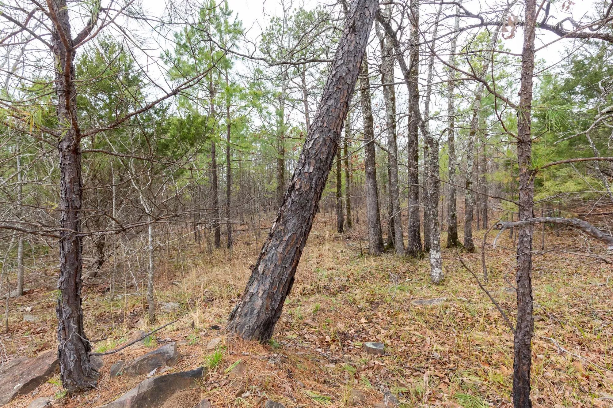Stone Bridge Phase III Tract 176 in Latimer County, OK